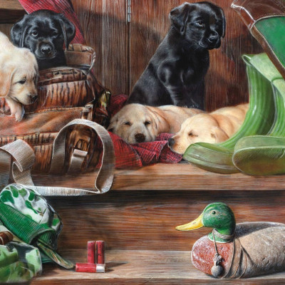 Cuccioli sulle scale