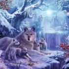 Puzzle - Ravensburger - lupi invernali
