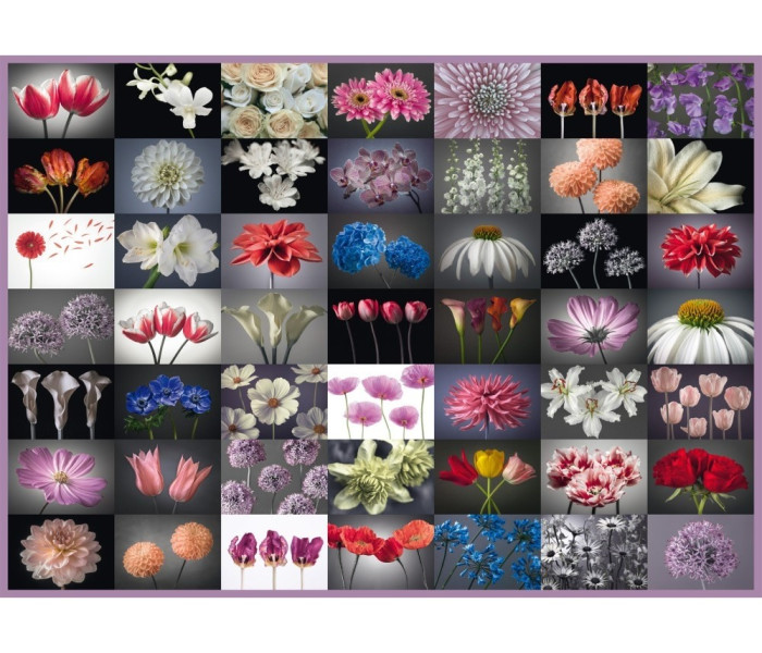 Puzzle - Schmidt - Biglietto di auguri floreale