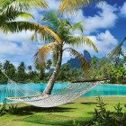 Puzzle - Schmidt - Rottura