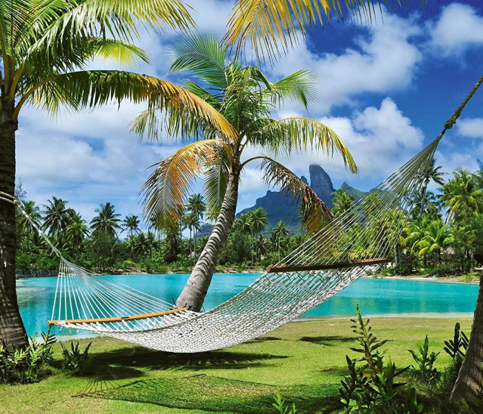 Puzzle - Schmidt - Rottura