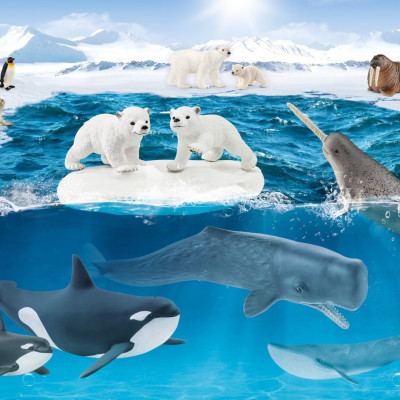 In Antartide + figurina