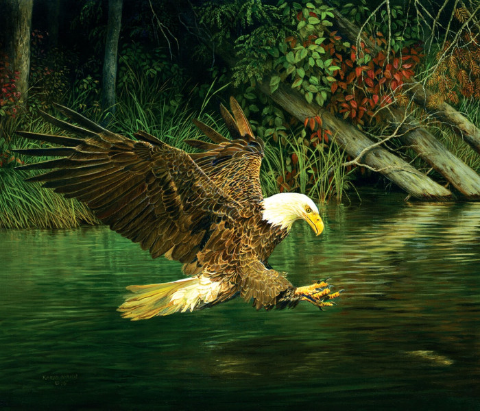 Puzzle - Sunsout - Aquila a caccia