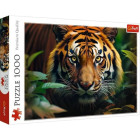 Puzzle - Trefl - Leone colorato