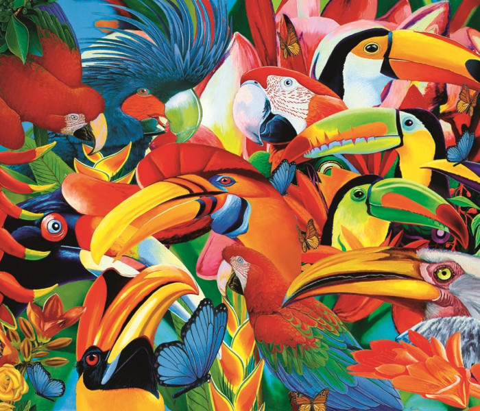 Puzzle - Trefl - Uccelli colorati