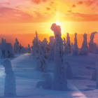 Puzzle - Trefl - Natura finlandese