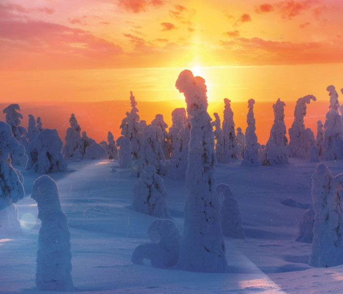 Puzzle - Trefl - Natura finlandese