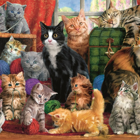 Incontro con i gatti