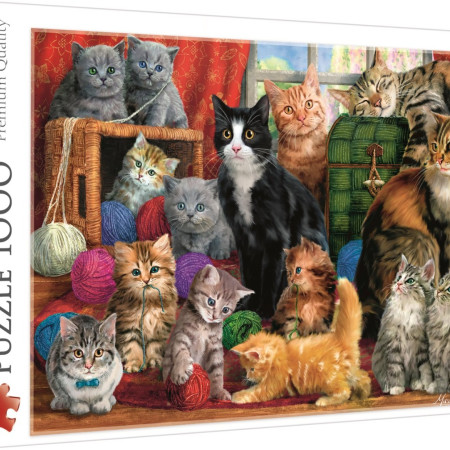 Incontro con i gatti