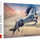 Puzzle - Trefl - Cavallo maestoso