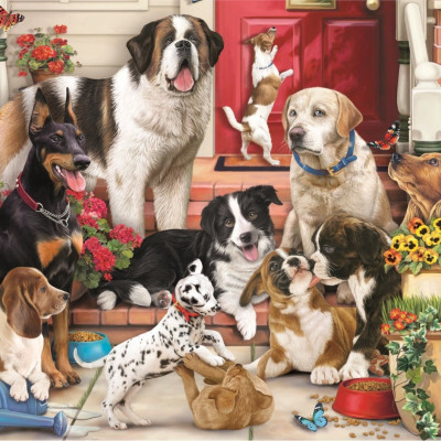 Divertimento con i cani