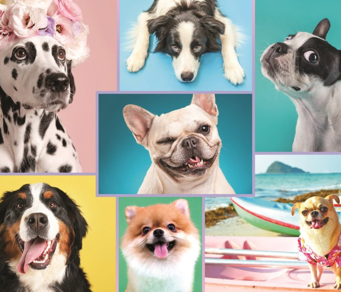 Puzzle - Trefl - Cani carini
