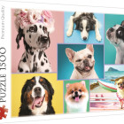 Puzzle - Trefl - Cani carini