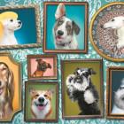 Puzzle - Trefl - Cani felici