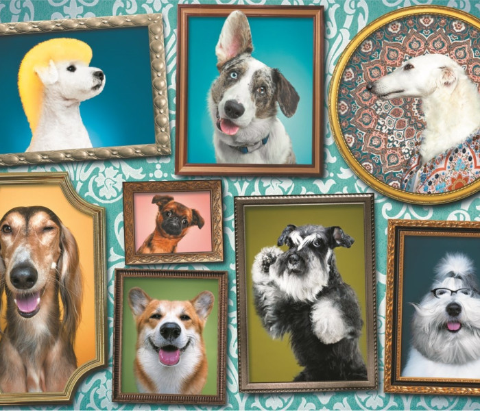 Puzzle - Trefl - Cani felici