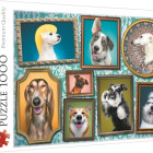Puzzle - Trefl - Cani felici