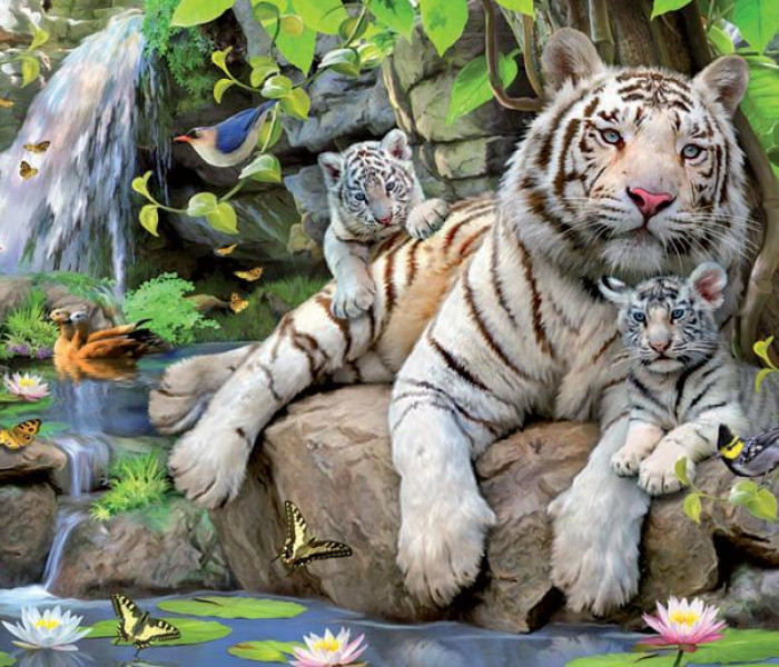 Puzzle - Educa - Tigri bianche