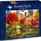 Puzzle - Bluebird - Central Park, New York