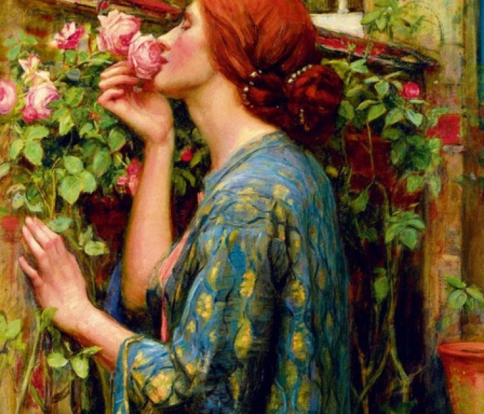 Puzzle - Bluebird - L anima della rosa