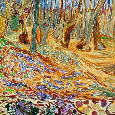 Forest in Spring