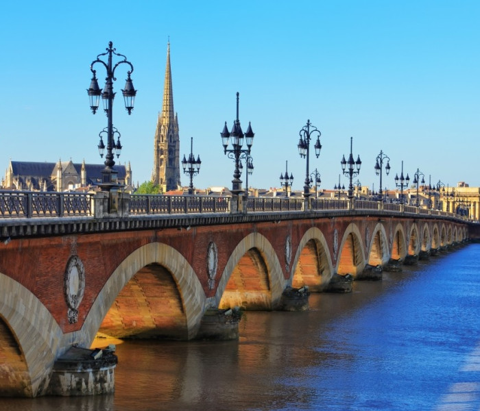 Puzzle - Bluebird - Ponte a Bordeaux