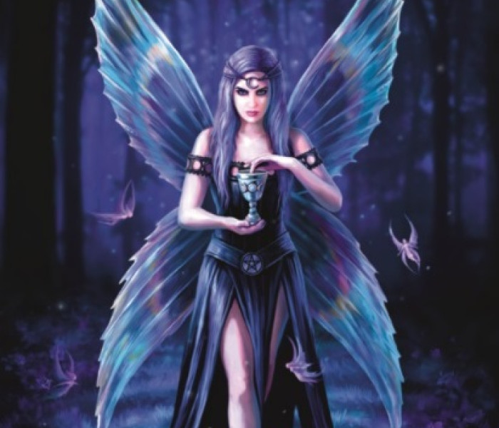 Puzzle - Bluebird - Magia