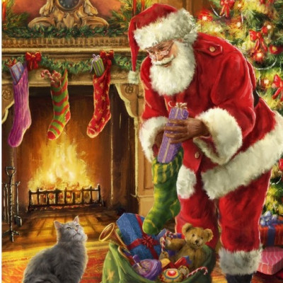 Babbo Natale è arrivato