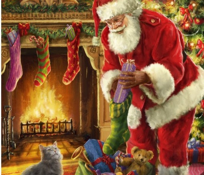 Puzzle - Bluebird - Babbo Natale è arrivato