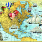 Puzzle - Bluebird - America del Nord