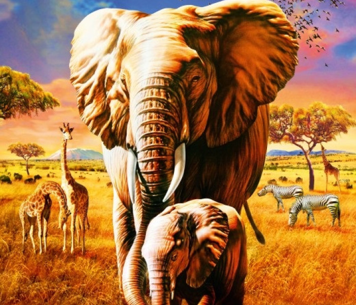 Puzzle - Bluebird - Elefanti