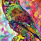 Puzzle - Bluebird - Gufo