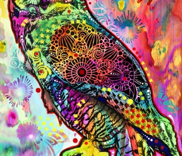 Puzzle - Bluebird - Gufo