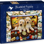 Puzzle - Bluebird - Cuccioli in una valigia
