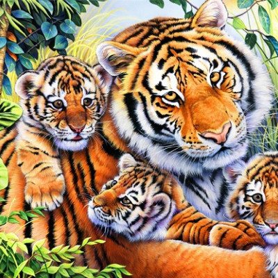 Famiglia di tigri