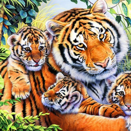 Famiglia di tigri