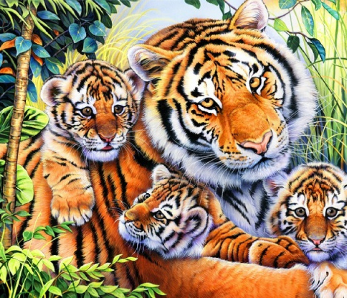 Puzzle - Bluebird - Famiglia di tigri