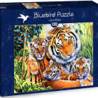 Puzzle - Bluebird - Famiglia di tigri
