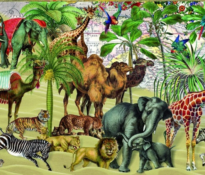 Puzzle - Bluebird - Animali nel deserto