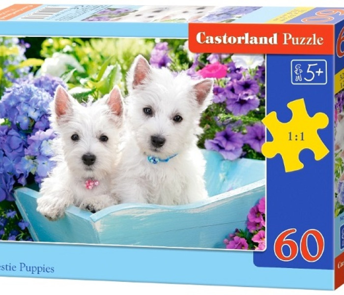 Puzzle - Castorland - Cuccioli bianchi