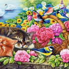 Puzzle - Castorland - Riposo