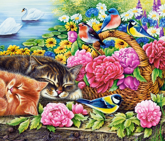 Puzzle - Castorland - Riposo