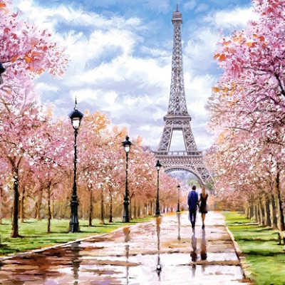 Passeggiata romantica a Parigi