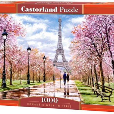 Passeggiata romantica a Parigi