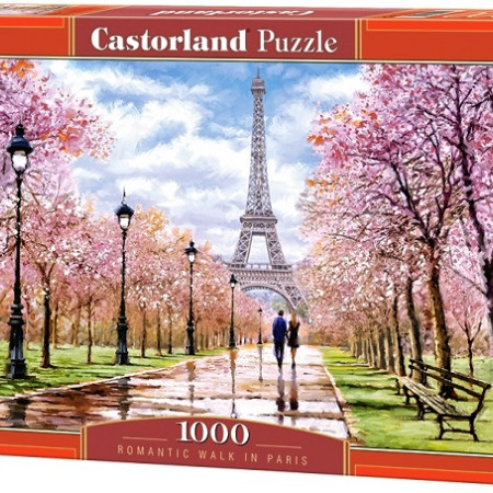 Passeggiata romantica a Parigi