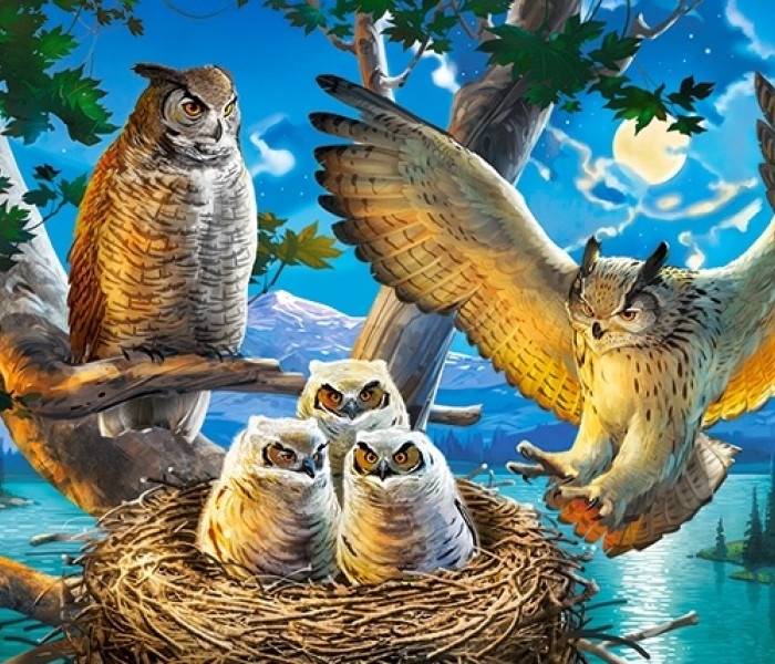 Puzzle - Castorland - Gufi