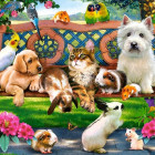 Puzzle - Castorland - Animali da compagnia