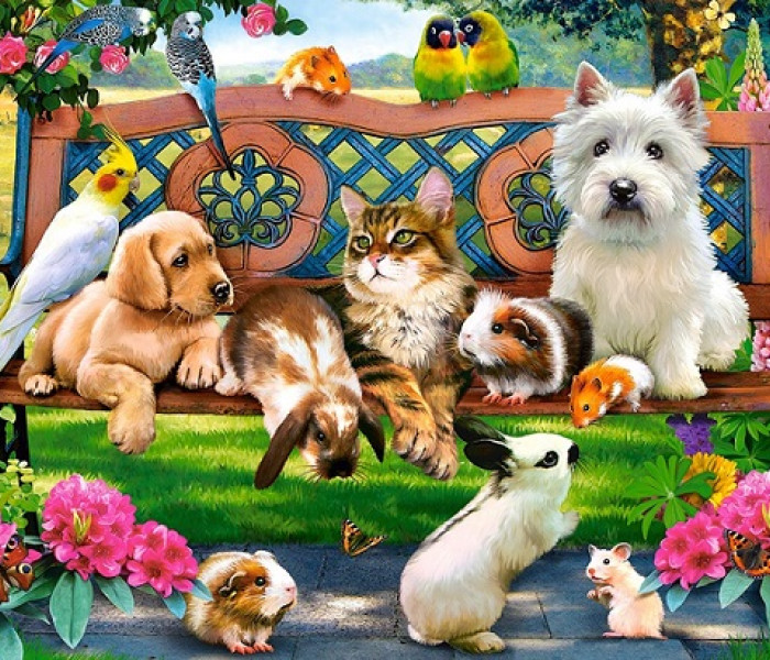 Puzzle - Castorland - Animali da compagnia