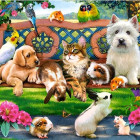 Puzzle - Castorland - Animali nel parco