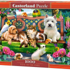 Puzzle - Castorland - Animali da compagnia