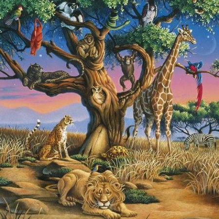 Natura selvaggia in Africa